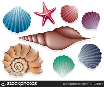 vector collection of sea shells