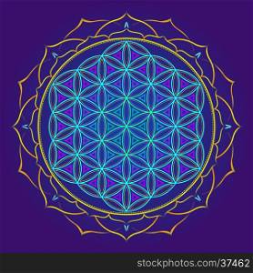 vector colored design mandala sacred geometry illustration Flower of life yantra lotus isolated dark background &#xA;