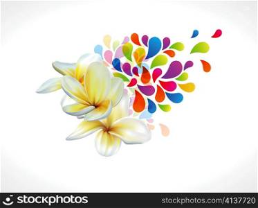 vector colorful floral illustration