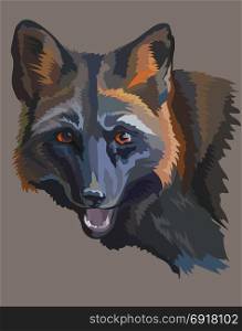 Vector colorful portrait of black fox on grey background