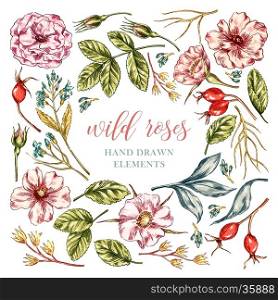 Vector colorful wild rose floral hand drawn elements collection with leaves and flowers. Decorative floral set for fabric, textile, wrapping paper, card, invitation, wallpaper, web design.