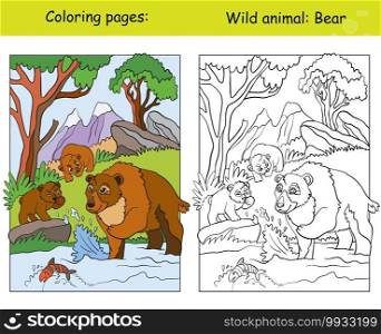 Vector coloring page with cute bears in mountain area. Cartoon isolated colorful illustration. Coloring book page and color template. For coloring book, design, preschool education, print and game.. Coloring book page and color template bears
