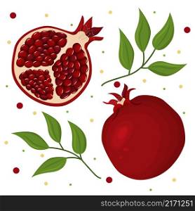 Vector composition of juicy ripe pomegranate fruits and green leaves. Juicy berries and tropical fruits. The concept of healthy eating.