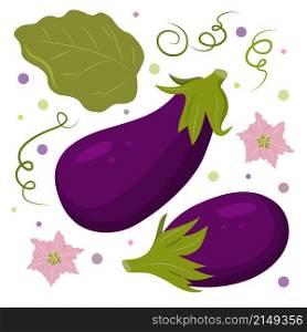 Vector composition of ripe eggplants. Eggplants for the farmer's market, design elements.