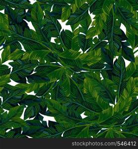 Vector composition of tropical palm leaves seamless pattern. Print summer beautiful beach wallpaper