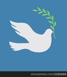 Vector Concept illustration of Beautiful white dove in flight holding an Olive Branch