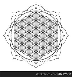 vector contour monochrome design mandala sacred geometry illustration flower of life lotus isolated white background &#xA;