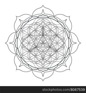 vector contour monochrome design mandala sacred geometry illustration seed of life merkaba lotus isolated white background &#xA;