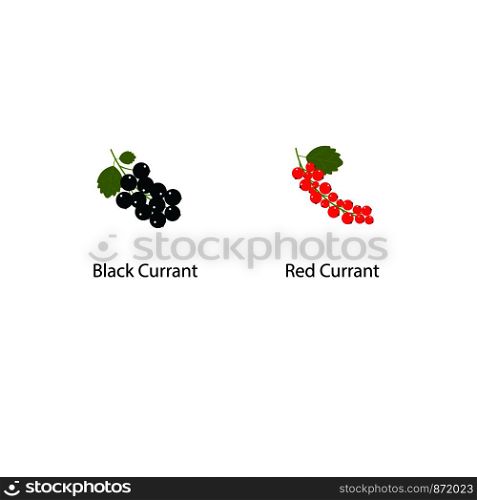 Vector currant isolated on white background in a flat style. Illustration of fresh berries with a green leaf. Red and black currants. Vector illustration. Vector currant isolated on white background in a flat style. Illustration of fresh berries with a green leaf. Red and black currants.