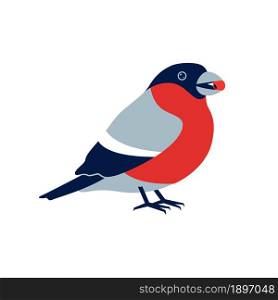 Vector cute bullfinch with rowan berry in its beak. Vector element for greeting card or christmas celebration banner
