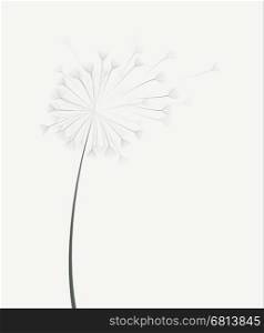 Vector dandelion flower . Vector illustration of dandelion flower in motion
