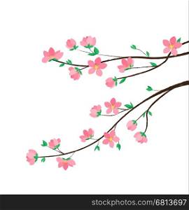 Vector decoration branches with flowers, spring blossom Sakura