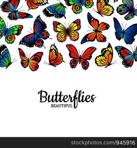 Vector decorative butterflies colored insects background illustration. Banner with place for text. Vector decorative butterflies colored insects background illustration