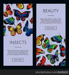 Vector decorative butterflies web banner templates illustration. Insects beauty poster with text. Vector decorative butterflies web banner templates illustration