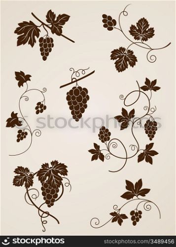 vector decorative grape vine elements for design