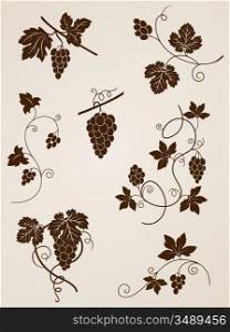 vector decorative grape vine elements for design