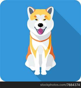 Vector dog Akita Inu Japanese breed sitting icon flat design