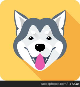 Vector dog Alaskan Malamute head breed icon flat design. Alaskan Malamute dog icon flat design