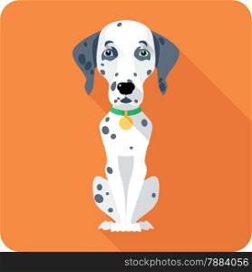 Vector dog Dalmatian sitting icon flat design