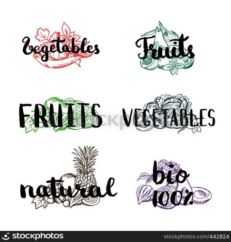 Vector doodle handdrawn colored piles of fruits and vegetables with vegan, organic, natural lettering. Illustration of hand drawing text collection. Vector doodle handdrawn colored piles of fruits and vegetables with vegan, organic, natural lettering