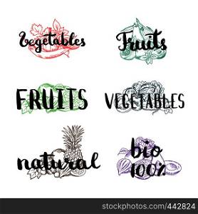 Vector doodle handdrawn colored piles of fruits and vegetables with vegan, organic, natural lettering. Illustration of hand drawing text collection. Vector doodle handdrawn colored piles of fruits and vegetables with vegan, organic, natural lettering