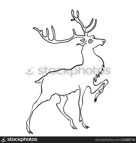 Vector drawing of deer