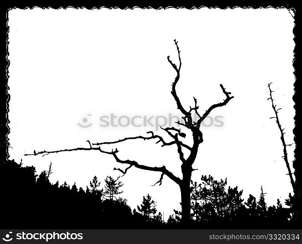 vector drawing old tree on torn sheet of paper