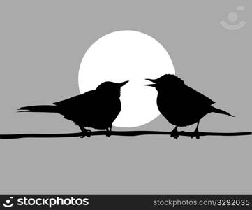 vector drawing two birds on solar background