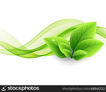 Vector eco leaves and green wave. Vector eco leaves and green wave. Abstract ecology background