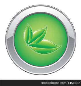 vector eco web button with leaves
