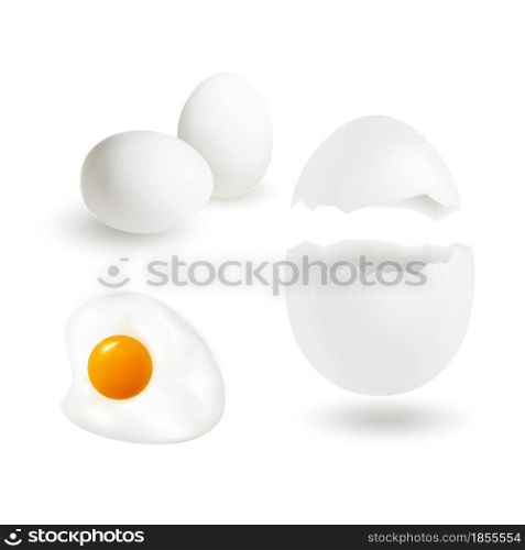 Vector Egg Set in Realistic Style Isolated on White Background, Including Such Design Element as Whole, Fried and Broken Eggs.. Egg Set in Realistic Style Isolated on White Background, Including Such Design Element as Whole, Fried and Broken Eg