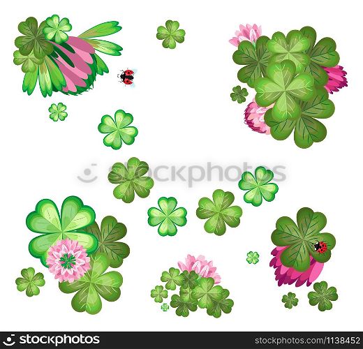 Vector elements of flowers and leaves of clover with ladybugs. Isolated objects. Transparent background.