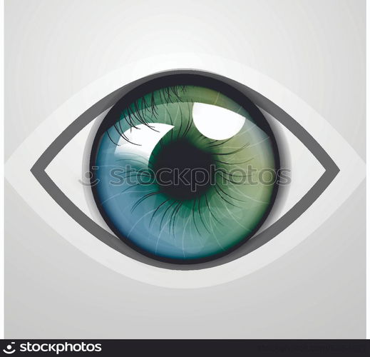 Vector eye