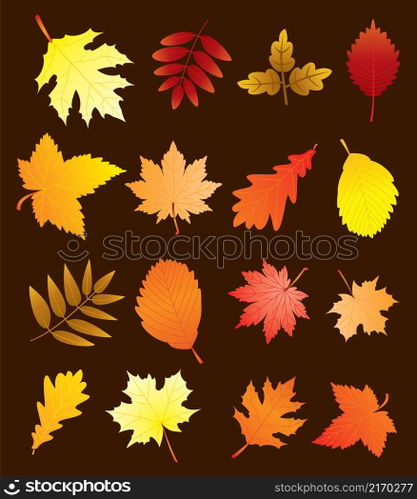 vector fall leaves set