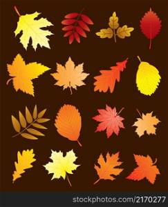 vector fall leaves set