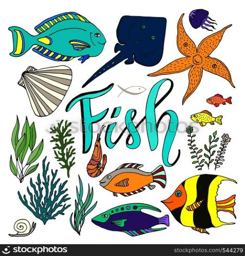 Vector fish set. Hand drawn marine set with colorful fishes.. Vector fish set. Hand drawn marine with colorful fishes