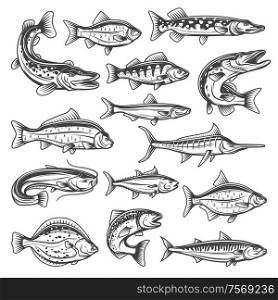 Vector fish species, ocean, sea and freshwater. Fishing sport theme, pike and salmon, tuna and marlin, bream and trout, sprat and carp, sheatfish and perch, mackerel and cruician. Freshwater and ocean vector fish
