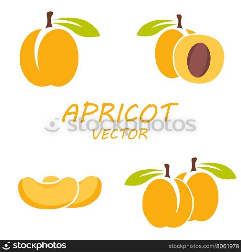 Vector flat apricot icons set. Vector flat apricot icons set on white background