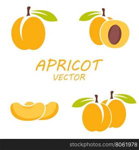 Vector flat apricot icons set. Vector flat apricot icons set on white background