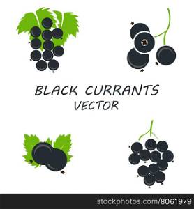 Vector flat black currants icons set. Vector flat black currants icons set on white background