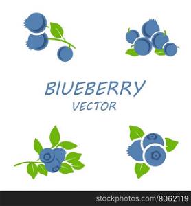Vector flat blueberry icons set. Vector flat blueberry icons set on white background