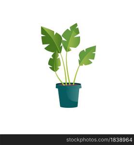 Vector flat cartoon home plant in pot isolated on empty background-house furniture,room interior elements concept,web site banner ad design. Flat cartoon home plant in pot,house furniture,room interior elements vector illustration concept