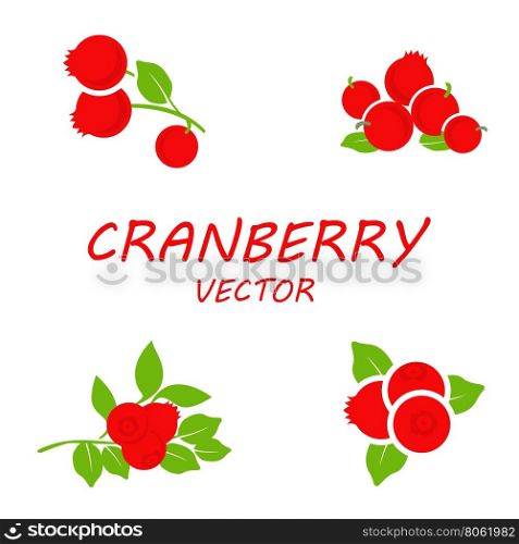 Vector flat cranberry icons set. Vector flat cranberry icons set on white background