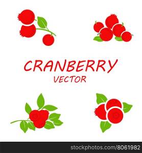 Vector flat cranberry icons set. Vector flat cranberry icons set on white background