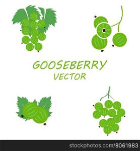 Vector flat gooseberry icons set. Vector flat gooseberry icons set on white background