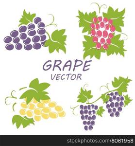 Vector flat grape icons set. Vector flat grape icons set on white backgrounds