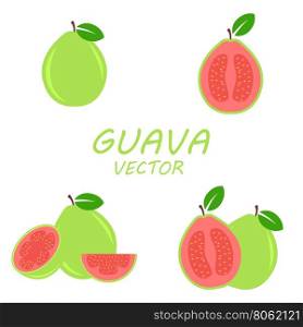Vector flat Guava icons set. Vector flat Guava icons set on white background