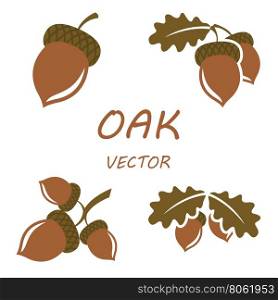 Vector flat oak icons set. Vector flat oak icons set on white backgrounds
