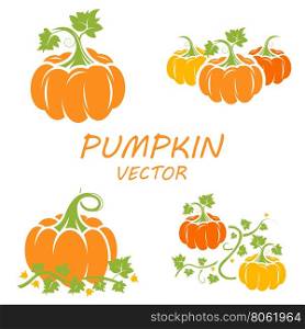 Vector flat pumpkin icons set. Vector flat pumpkin icons set on white backgrounds