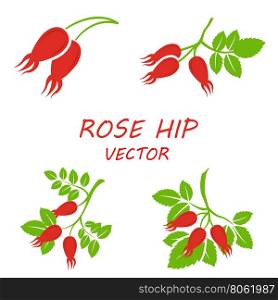Vector flat rose hip icons set. Vector flat rose hip icons set on white background
